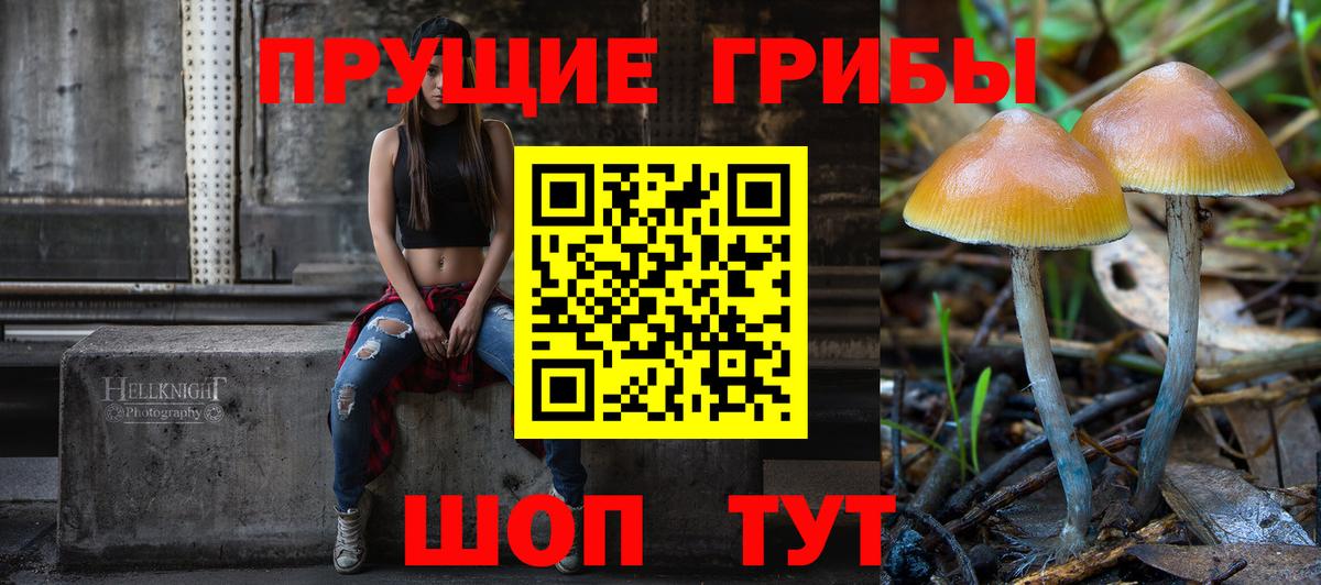 Волгоград  цена   Вход с VPN  Псилоцибиновые грибы Psilocybe 