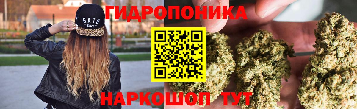 Волгоград  Бошки Шишки THC 21%  МАРИХУАНА ГИДРОПОН  Каннабис сатива  Вход с VPN 